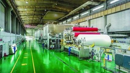 林漿紙一體化與碳匯開發(fā) 節(jié)能環(huán)保技術(shù)的新路徑與協(xié)同效應(yīng)