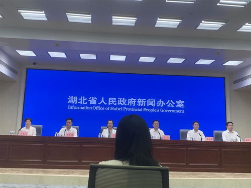 湖北加速設(shè)備更新浪潮 2027年前推動(dòng)技術(shù)落后與節(jié)能環(huán)保不達(dá)標(biāo)設(shè)備全面升級(jí)